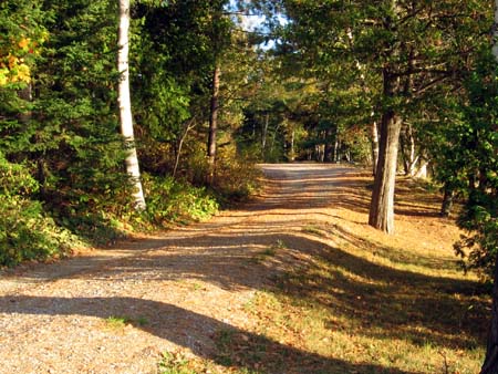 A Peaceful Road
