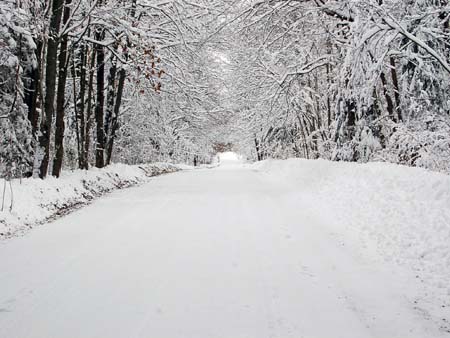 A Winter's Day